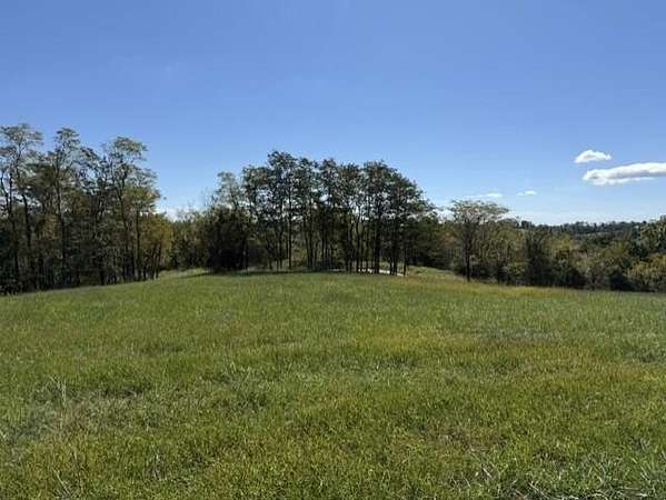 10.7 Acres of Land for Sale in Mount Olivet, Kentucky