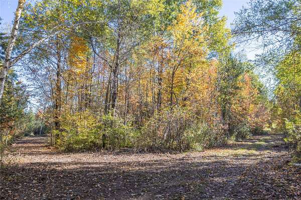5 Acres of Land for Sale in Ladysmith, Wisconsin