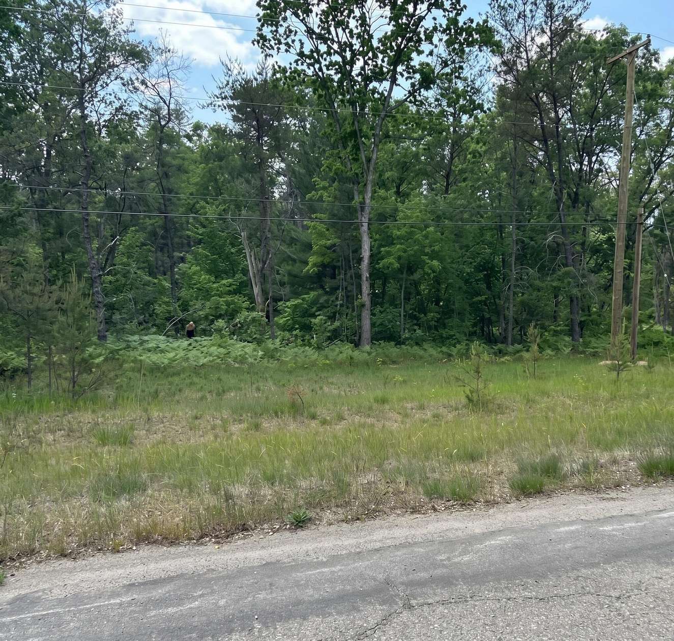 0.17 Acres of Residential Land for Sale in Baldwin, Michigan