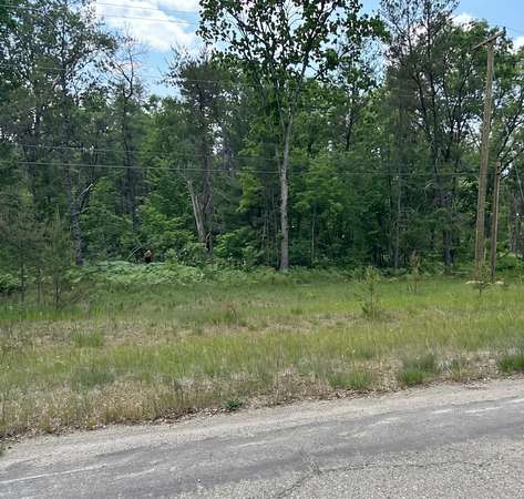 0.17 Acres of Residential Land for Sale in Baldwin, Michigan