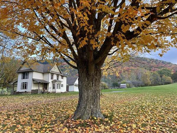 3.8 Acres of Land with Home for Sale in Coudersport, Pennsylvania