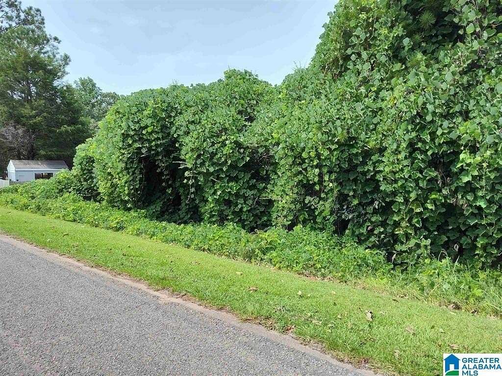 1 Acre of Residential Land for Sale in Goodwater, Alabama