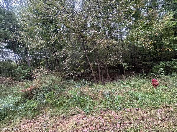 1 Acre of Land for Sale in Negley, Ohio