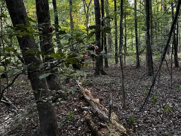 3.7 Acres of Residential Land for Sale in Benton, Arkansas