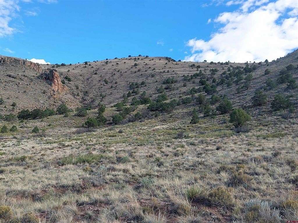 35.8 Acres of Recreational & Residential Land for Sale in Del Norte, Colorado
