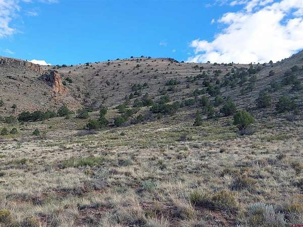 35.8 Acres of Recreational & Residential Land for Sale in Del Norte, Colorado