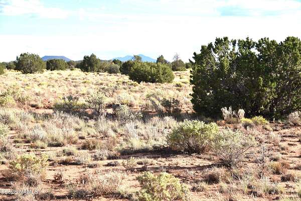 18 Acres of Land for Sale in Williams, Arizona