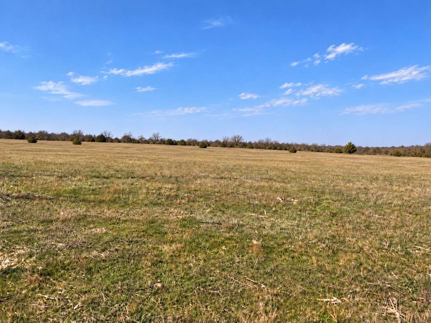 5 Acres of Land for Sale in Blum, Texas