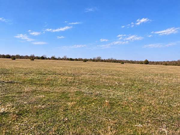 5 Acres of Land for Sale in Blum, Texas