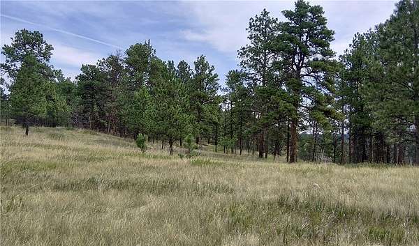 20 Acres of Recreational & Residential Land for Sale in Roundup, Montana