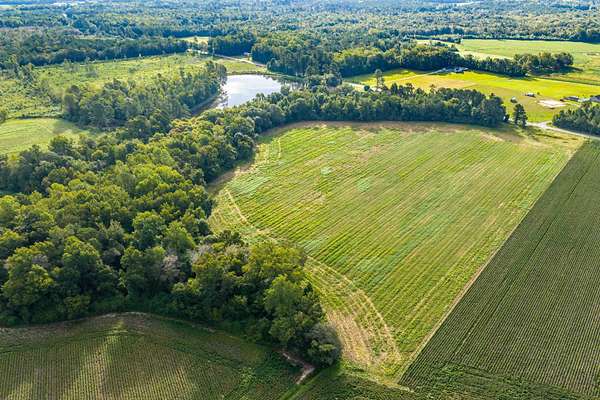 12.5 Acres of Recreational & Residential Land for Sale in Green Sea, South Carolina