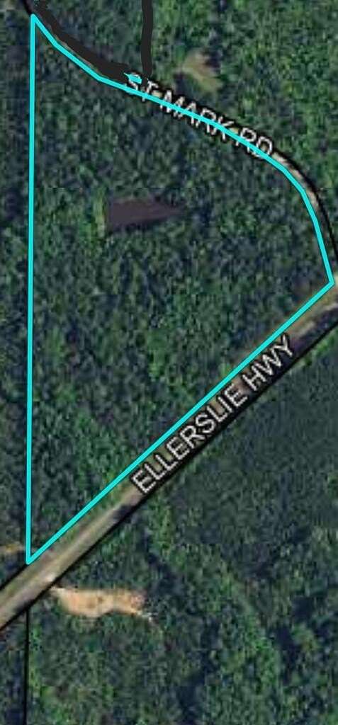 20.3 Acres of Recreational Land for Sale in Waverly Hall, Georgia
