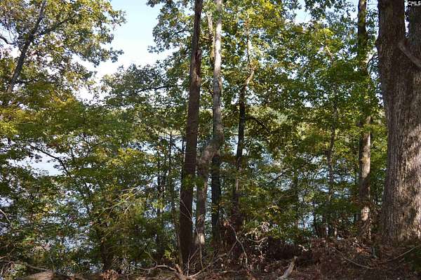 1.2 Acres of Residential Land for Sale in Winnsboro, South Carolina