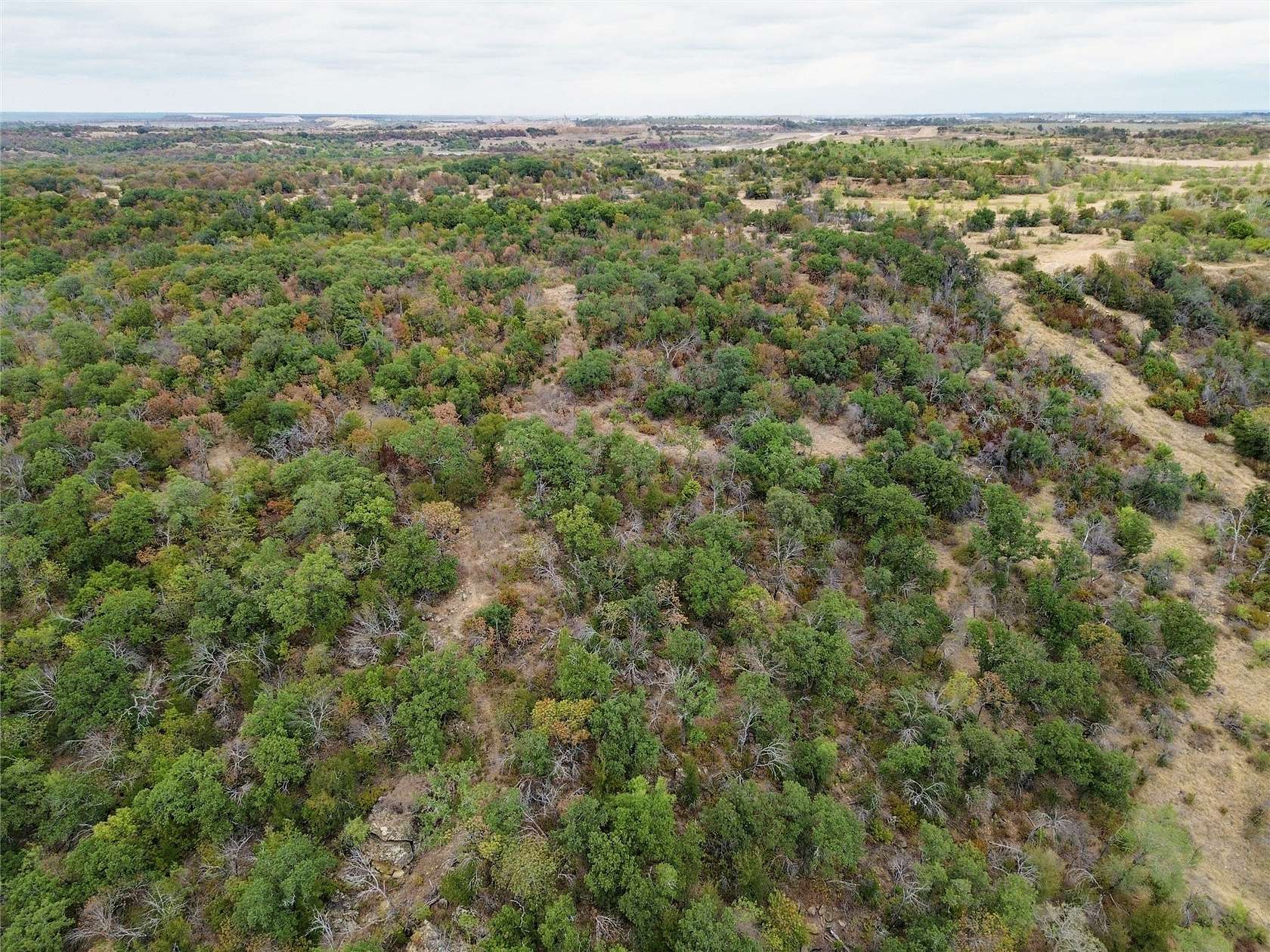 177 Acres of Land for Sale in Bridgeport, Texas