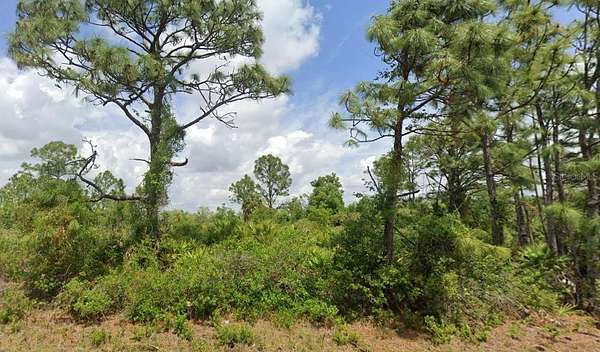0.3 Acres of Residential Land for Sale in Port Charlotte, Florida