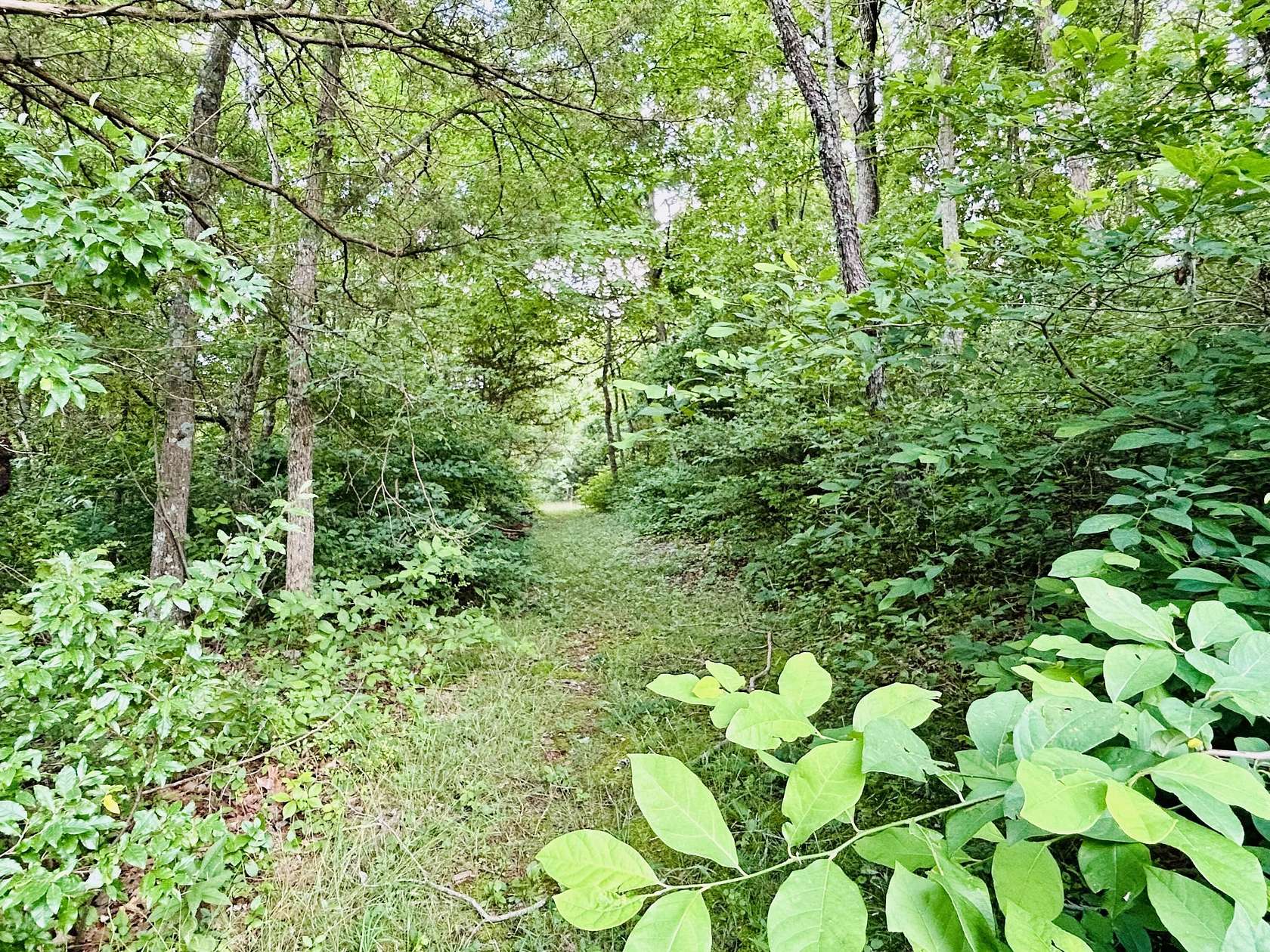5.72 Acres of Residential Land for Sale in Marionville, Missouri