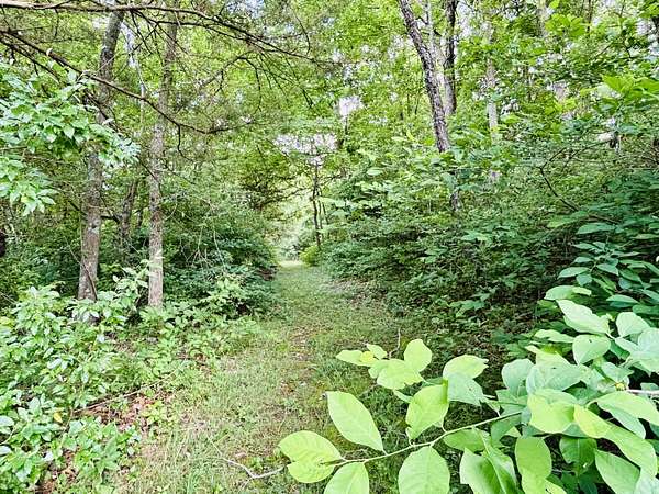 5.72 Acres of Residential Land for Sale in Marionville, Missouri