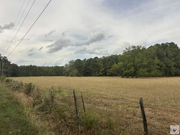 23.3 Acres of Recreational & Residential Land for Sale in Fouke, Arkansas