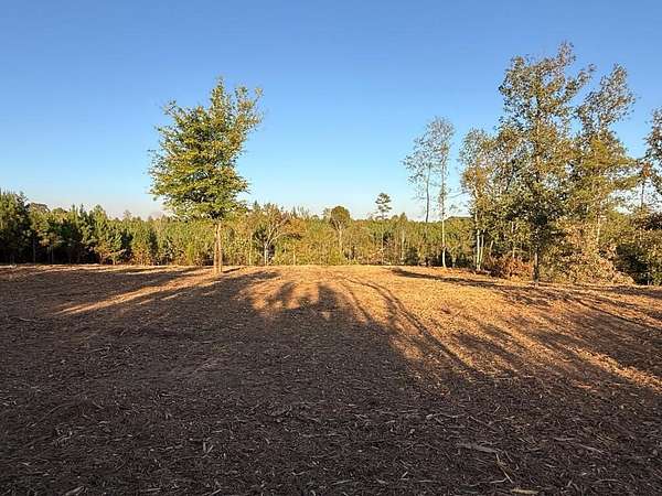 11 Acres of Land for Sale in Mansfield, Tennessee