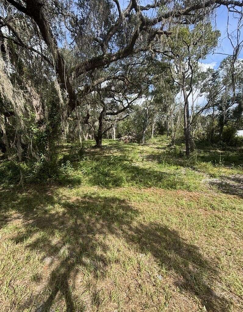 1 Acre of Residential Land for Sale in Old Town, Florida