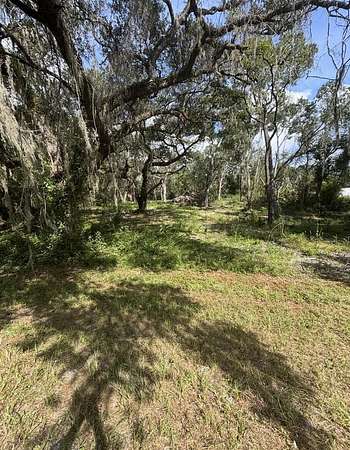 1 Acre of Residential Land for Sale in Old Town, Florida