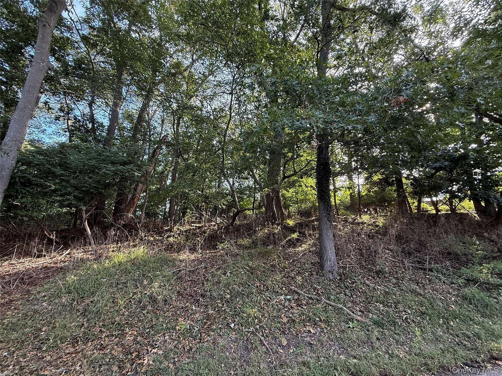 0.34 Acres of Residential Land for Sale in Wading River, New York
