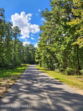 3.19 Acres of Residential Land for Sale in Picayune, Mississippi