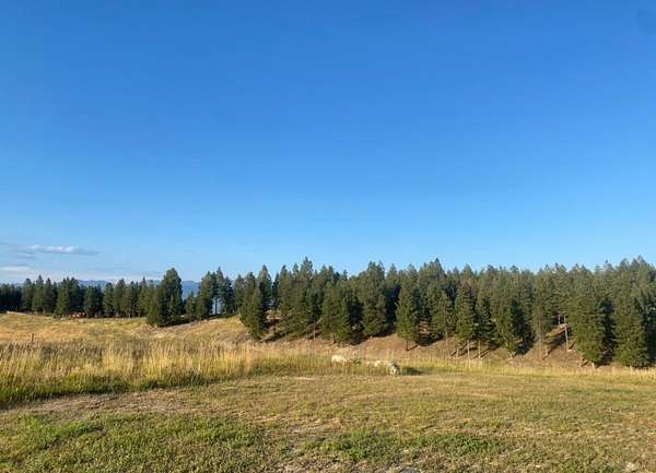 3 Acres of Residential Land for Sale in Rexford, Montana