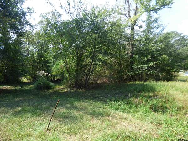 0.66 Acres of Residential Land for Sale in Daingerfield, Texas