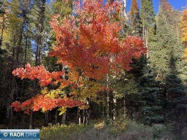 20 Acres of Recreational Land for Sale in Tower, Minnesota
