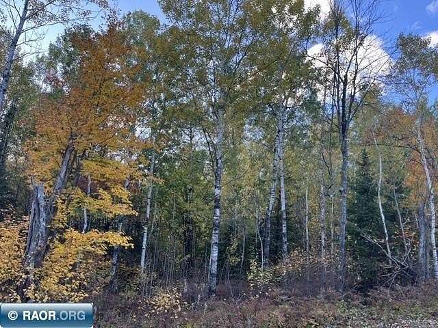 20 Acres of Land for Sale in Aurora, Minnesota