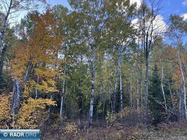 20 Acres of Land for Sale in Aurora, Minnesota