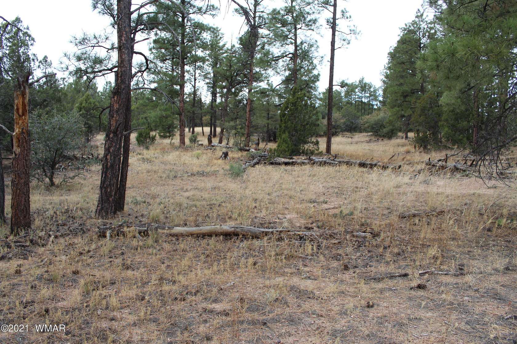 1 Acre of Residential Land for Sale in Show Low, Arizona