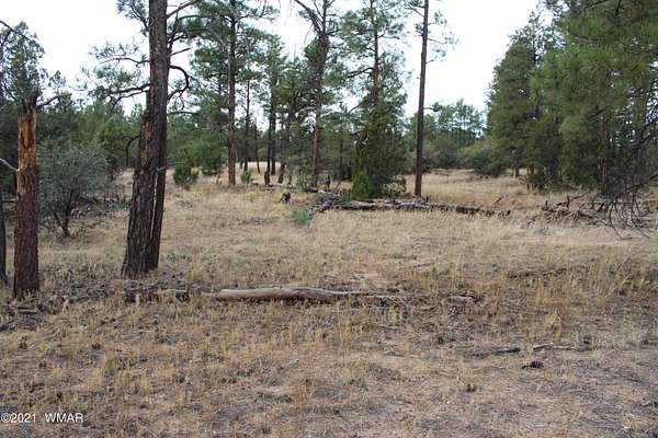 1 Acre of Residential Land for Sale in Show Low, Arizona