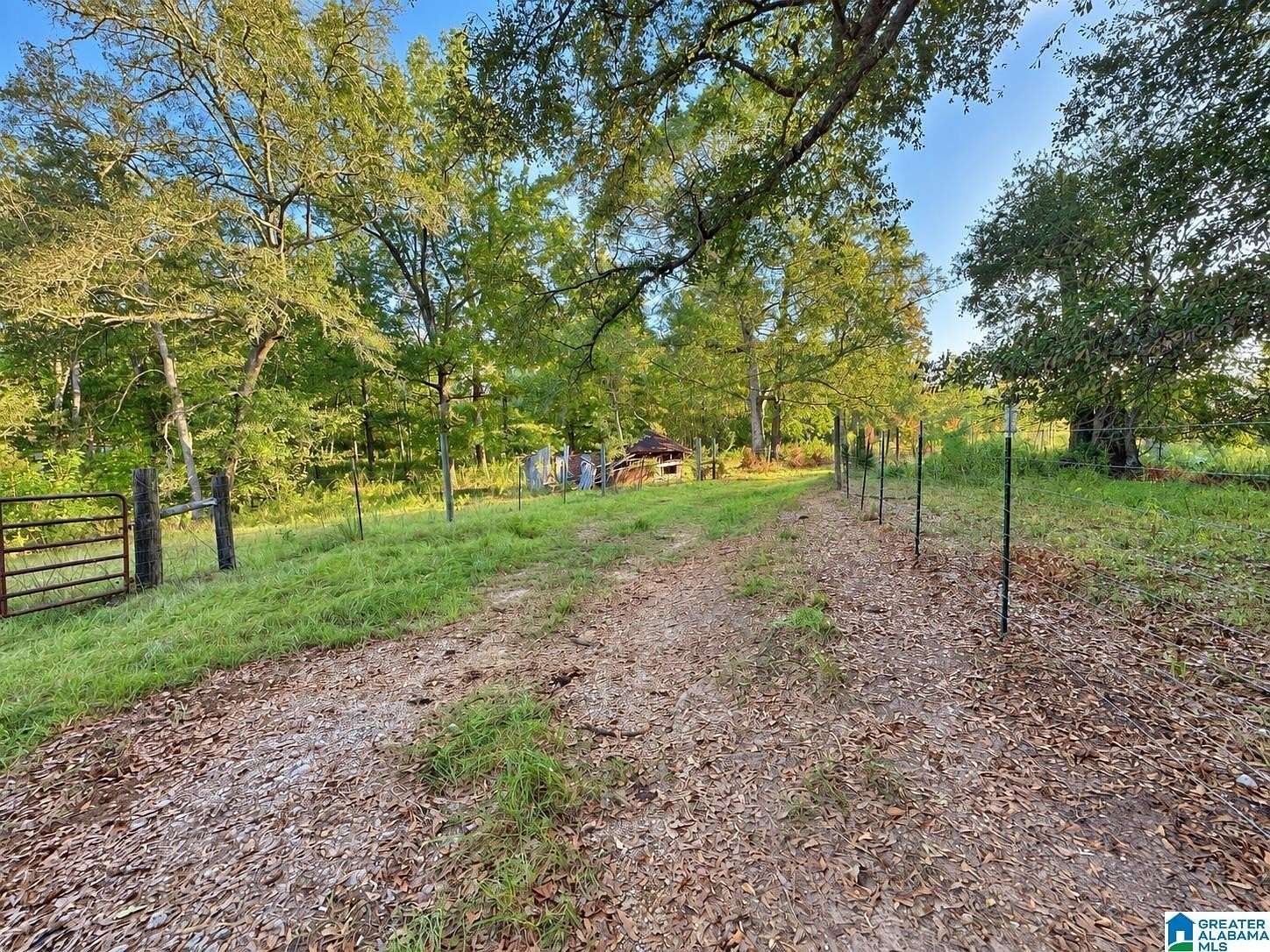 15.6 Acres of Recreational Land for Sale in Stanton, Alabama