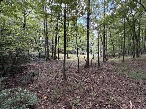 0.74 Acres of Residential Land for Sale in Ellijay, Georgia