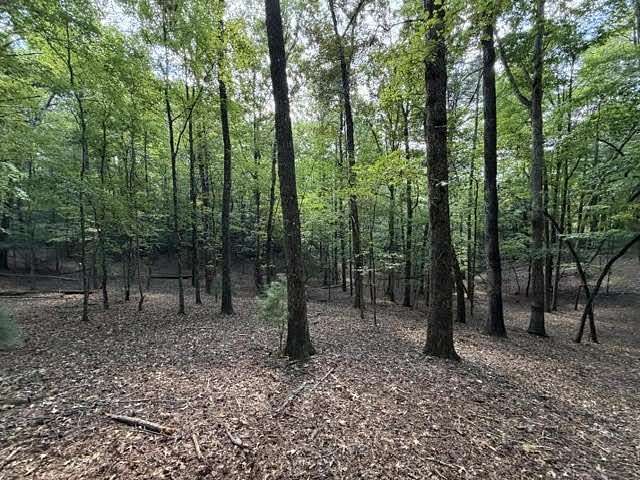 1 Acre of Residential Land for Sale in Ellijay, Georgia