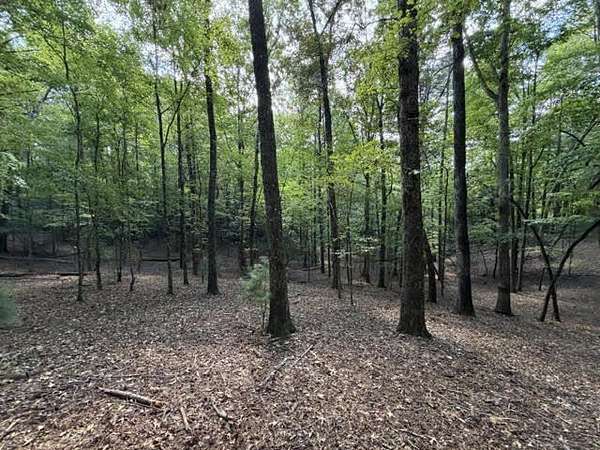 1 Acre of Residential Land for Sale in Ellijay, Georgia