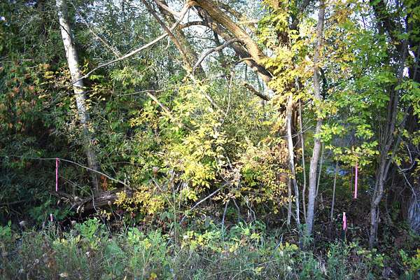 20.9 Acres of Recreational Land for Sale in Cheboygan, Michigan