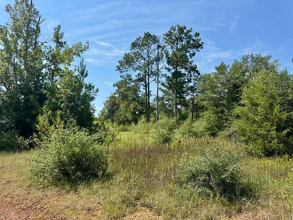 11 Acres of Recreational & Residential Land for Sale in Spurger, Texas