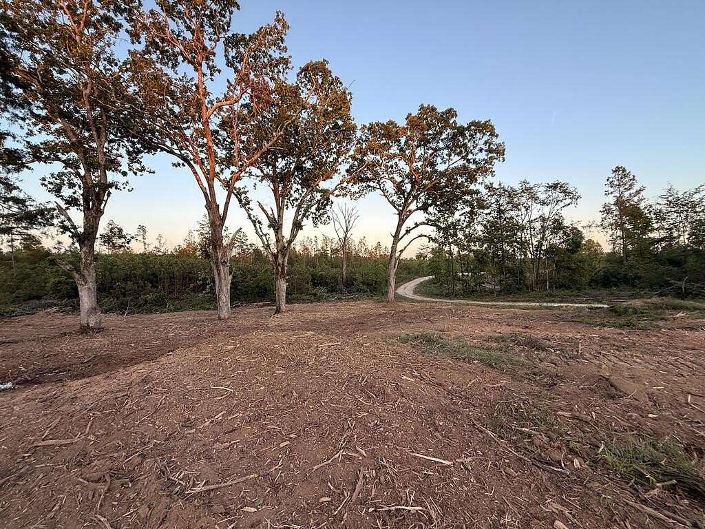 5 Acres of Land for Sale in Mansfield, Tennessee