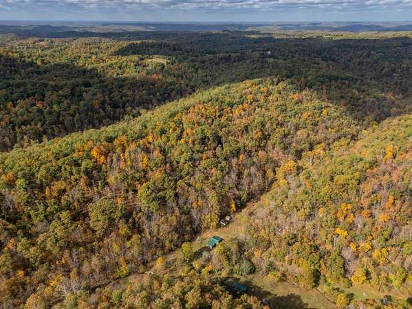55 Acres of Recreational & Residential Land for Sale in Leon, West Virginia