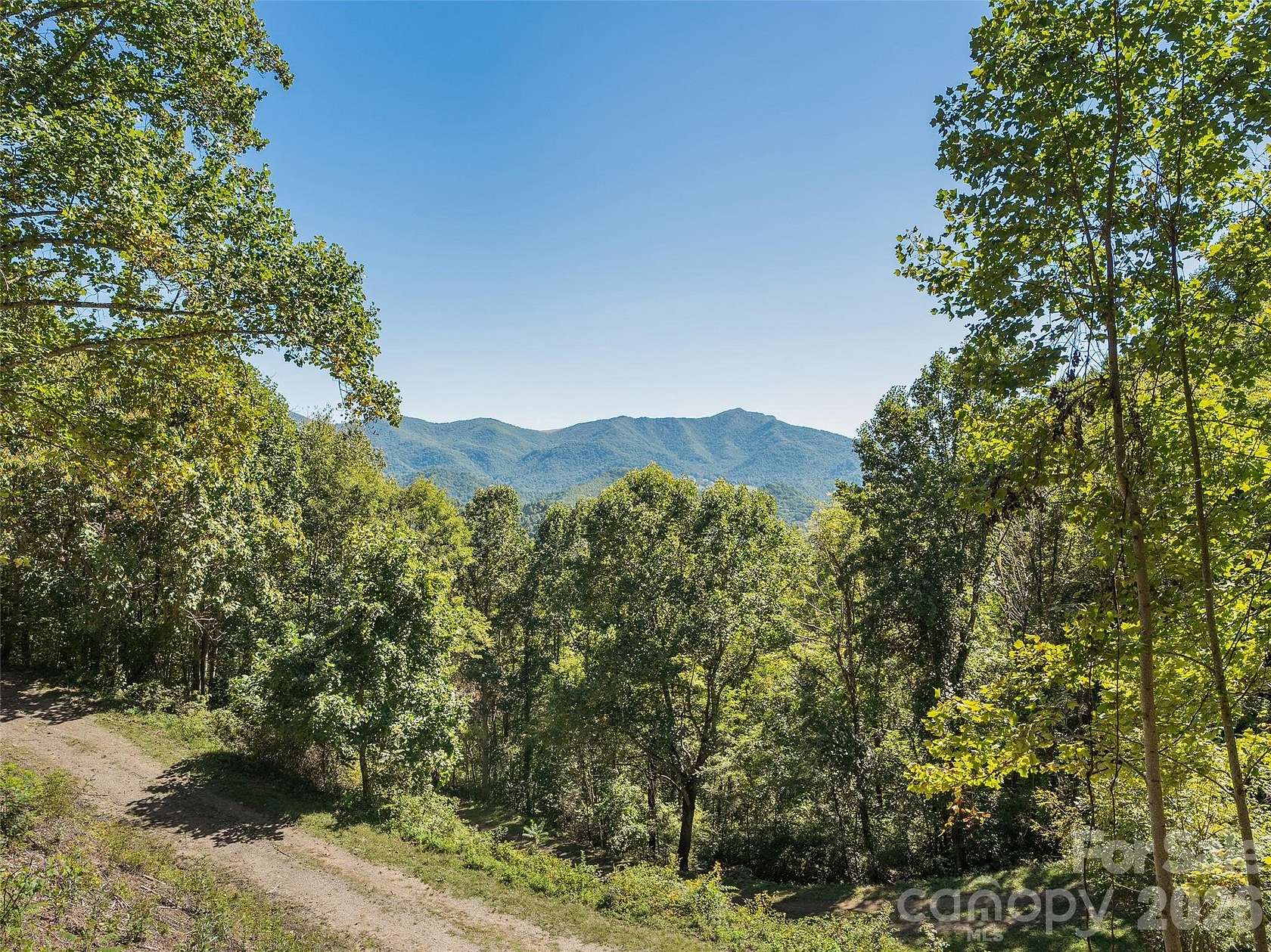 69.4 Acres of Recreational & Residential Land for Sale in Clyde, North Carolina