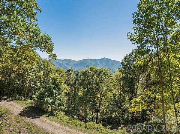 69.4 Acres of Recreational & Residential Land for Sale in Clyde, North Carolina