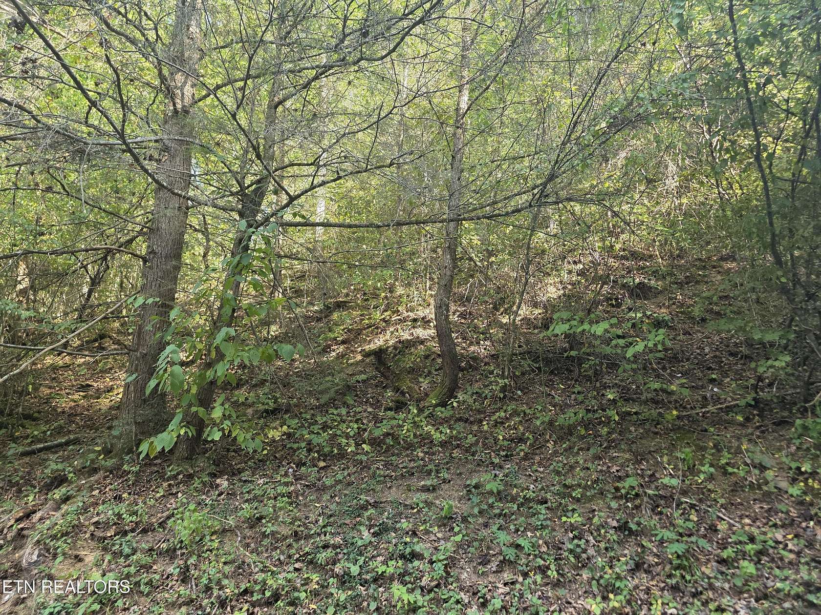 0.13 Acres of Residential Land for Sale in Pigeon Forge, Tennessee