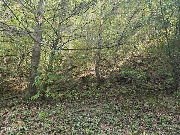 0.13 Acres of Residential Land for Sale in Pigeon Forge, Tennessee