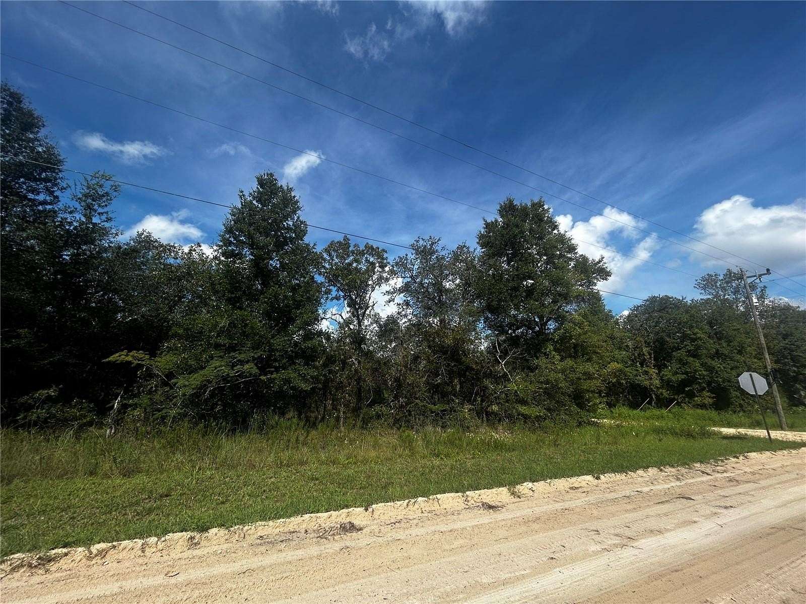 0.25 Acres of Land for Sale in Williston, Florida