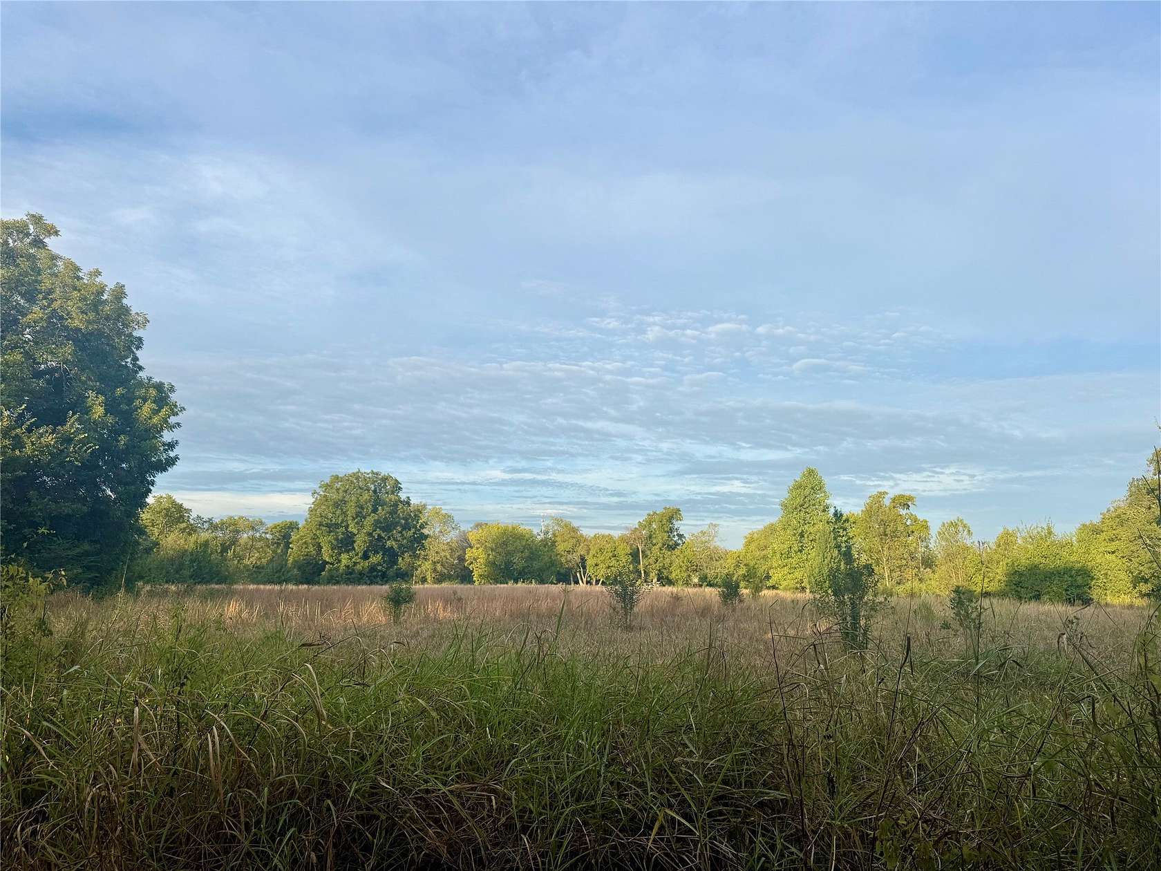 4 Acres of Residential Land for Sale in Deport, Texas