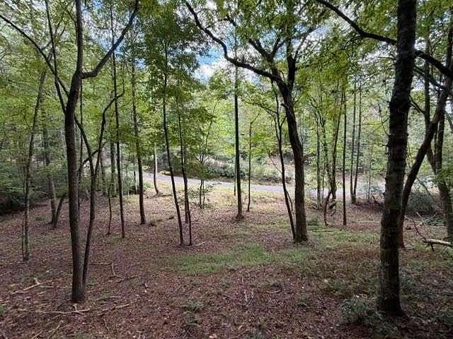 0.74 Acres of Residential Land for Sale in Ellijay, Georgia