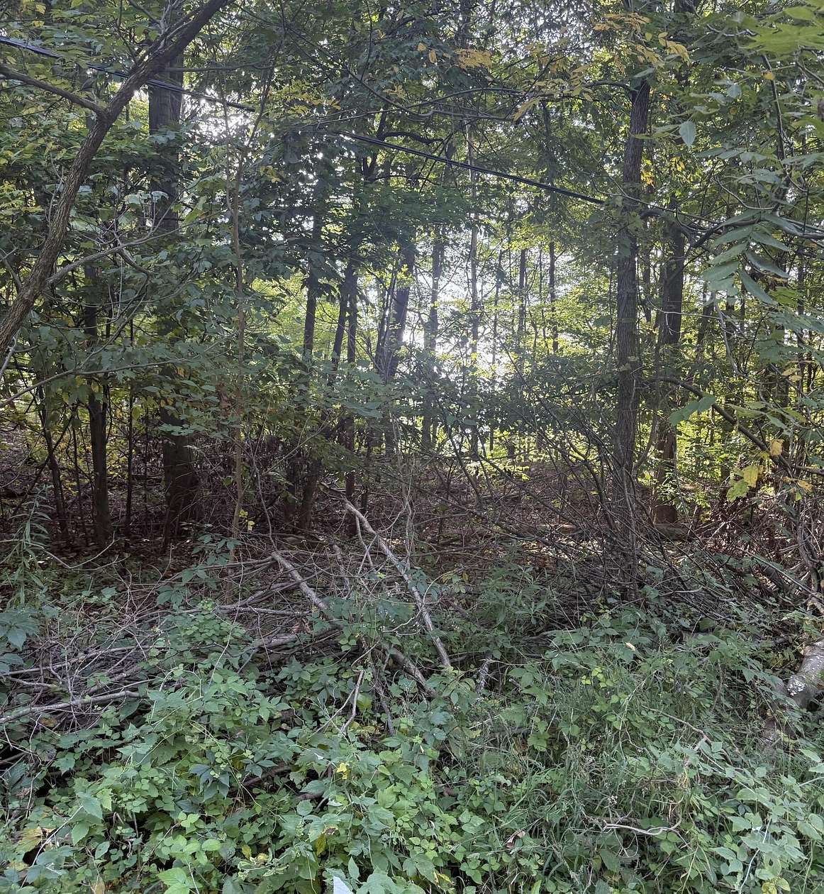 0.44 Acres of Residential Land for Sale in Plainwell, Michigan